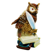 Trinket Box Owls On Books 