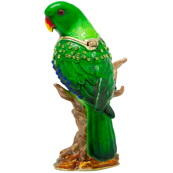 Trinket Box Electus Parrot