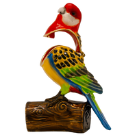 Trinket Box Eastern Rosella
