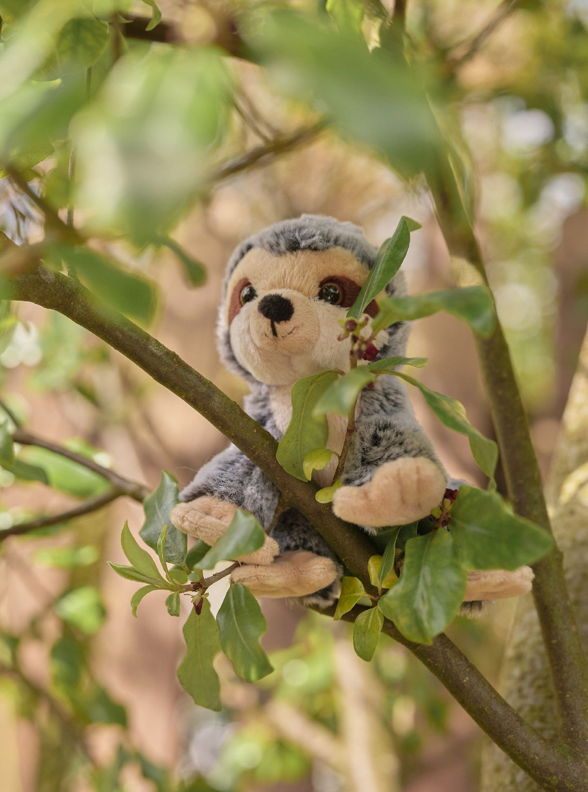 CHARLIE BEARS CUDDLE CUBS SLOTH 