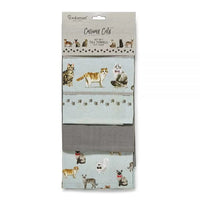 CURIOUS CATS 3 PACK TEATOWELS