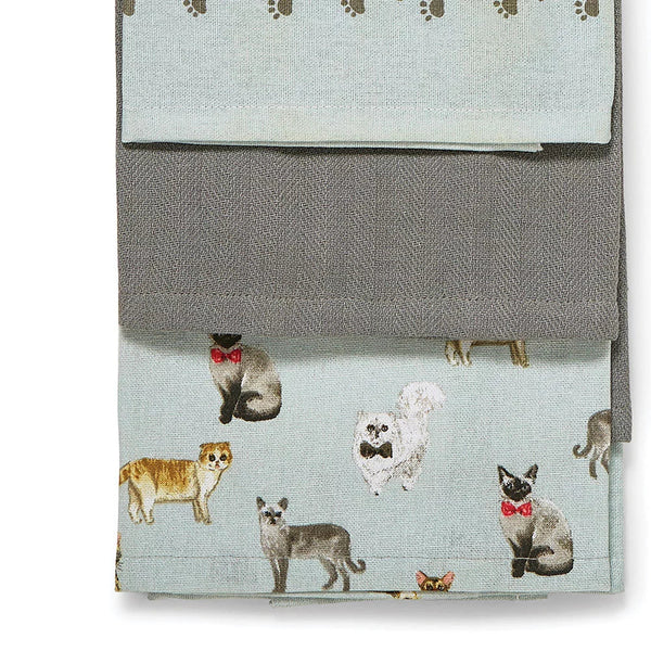 CURIOUS CATS 3 PACK TEATOWELS