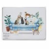 CURIOUS CATS SET OF 4 PLACEMATS