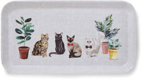 CURIOUS CATS SMALL TRAY