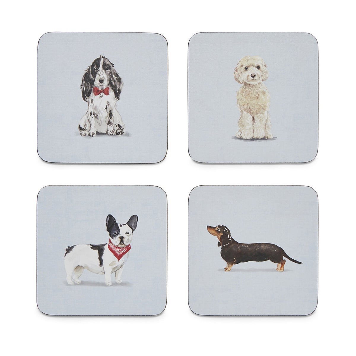 CURIOUS DOGS SET OF 4 COASTERS