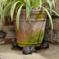 POTTY FEET ANTIQUE BRONZE HEDGEHOG