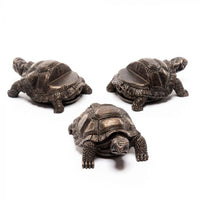 POTTY FEET ANTIQUE BRONZE TORTOISE 