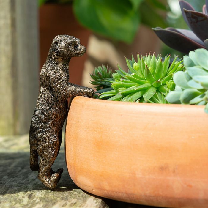 POT BUDDIES ANTIQUE BRONZE MEERKAT