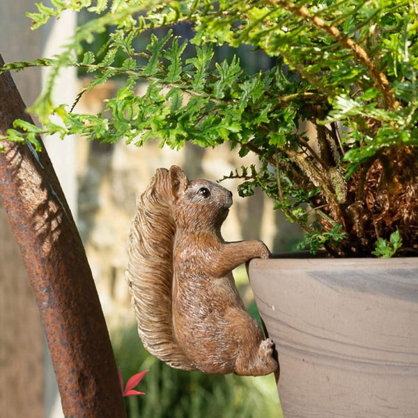 POT BUDDIES SQUIRREL NUTKIN