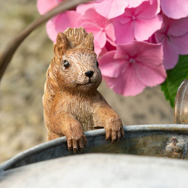 POT BUDDIES SQUIRREL NUTKIN