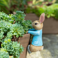 POT BUDDIES PETER RABBIT HANGING