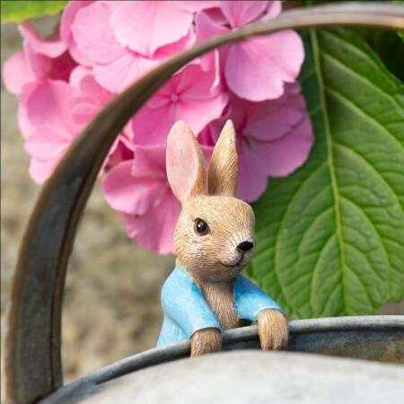 POT BUDDIES PETER RABBIT HANGING