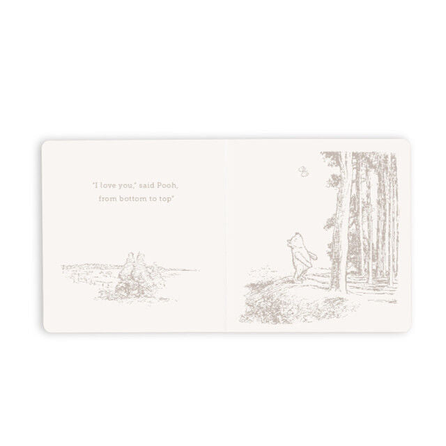 Winnie The Pooh Book And Blanket Set/2
