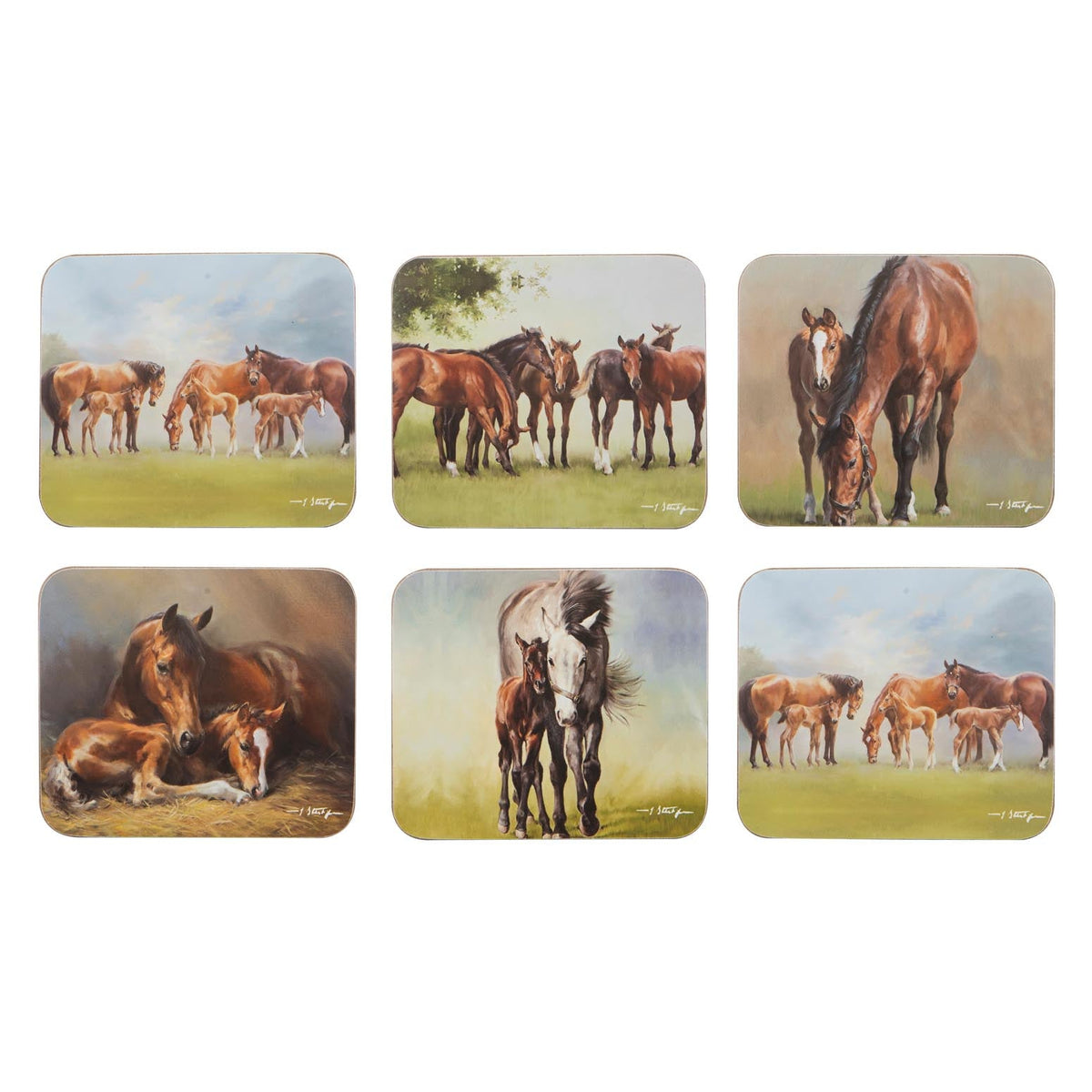 MARES & FOALS ASSORTED 6PK COASTER