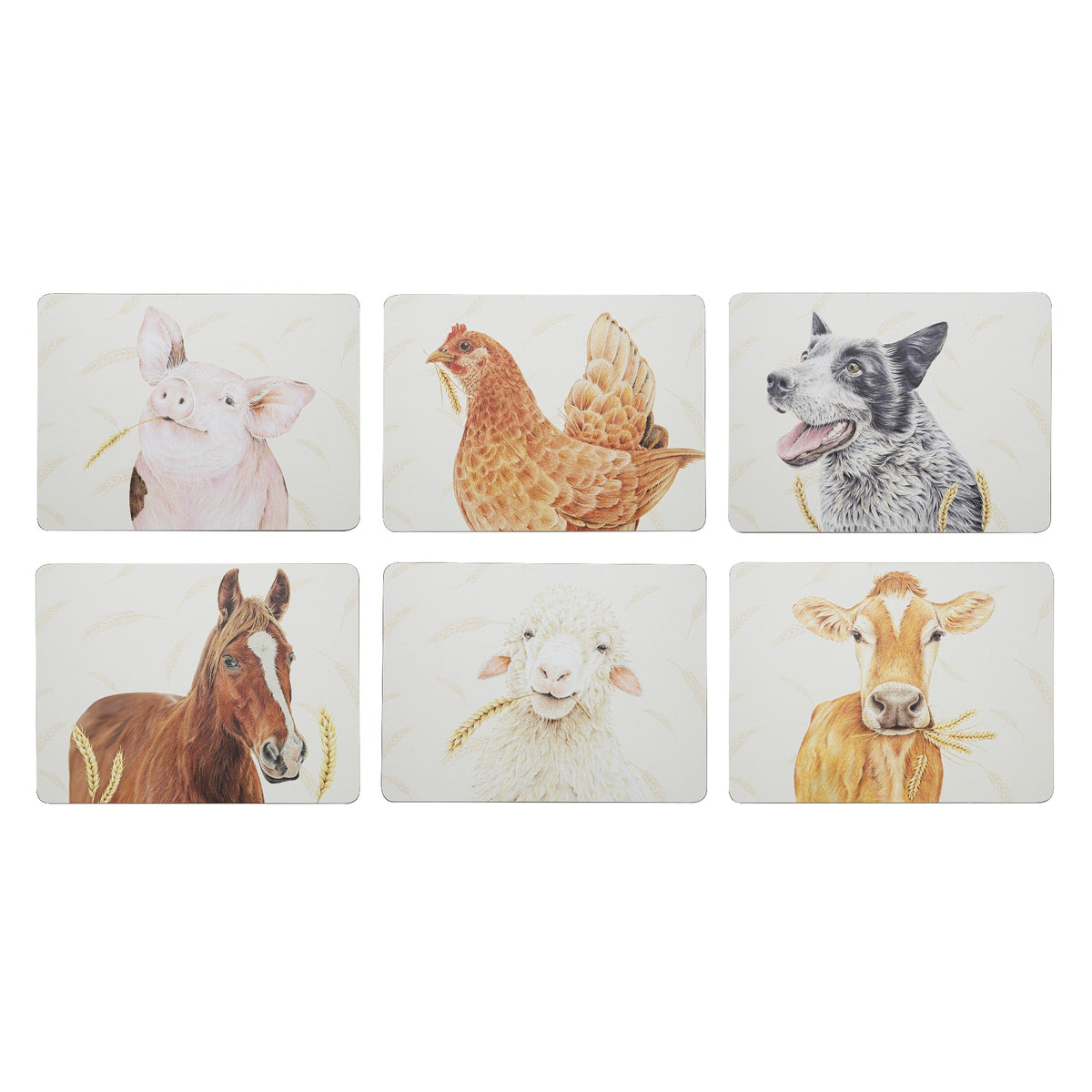 Farmyard Faces 2 6pk Placemats