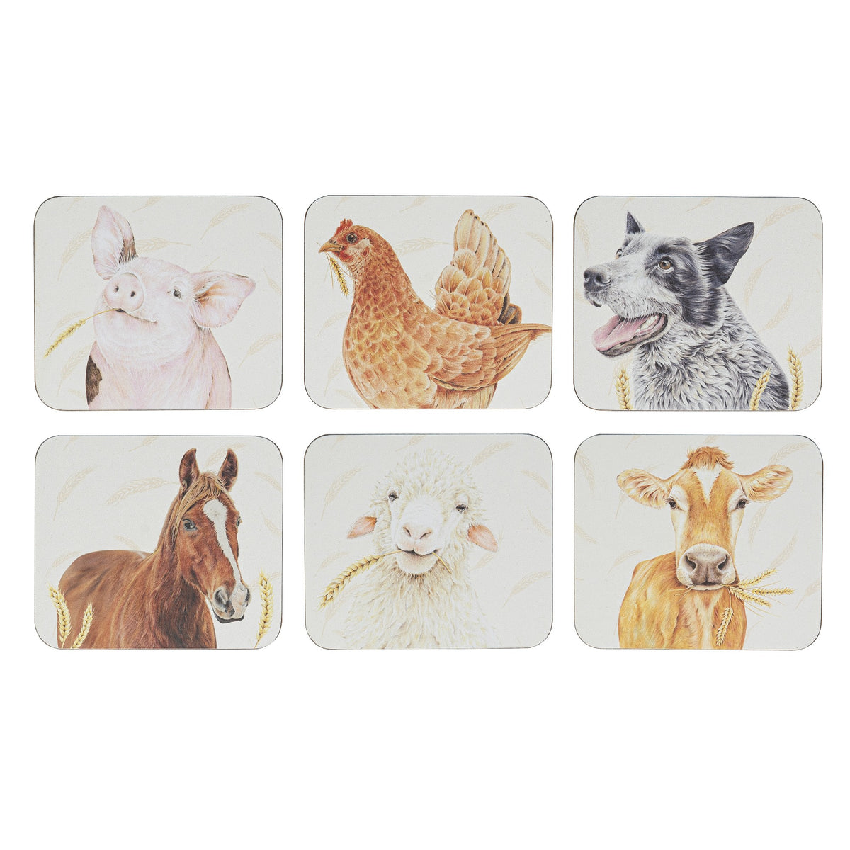 Farmyard Faces 2 6pk Coaster