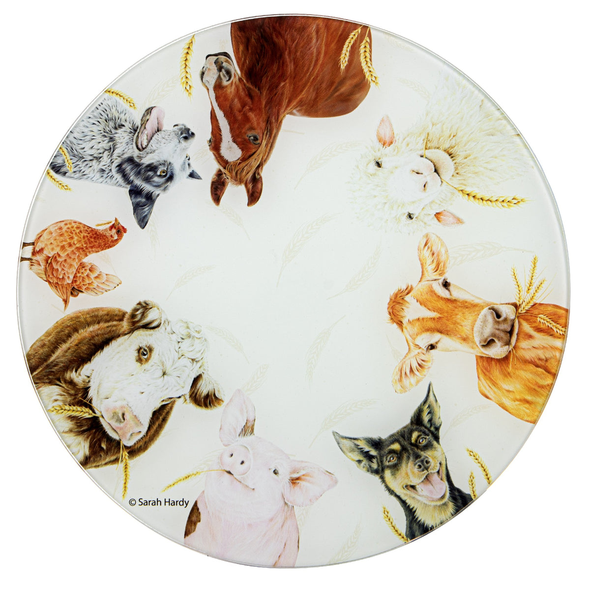 Farmyard Faces 2 Round Surface Protector