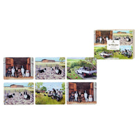 Working Dogs 6pk Placemats