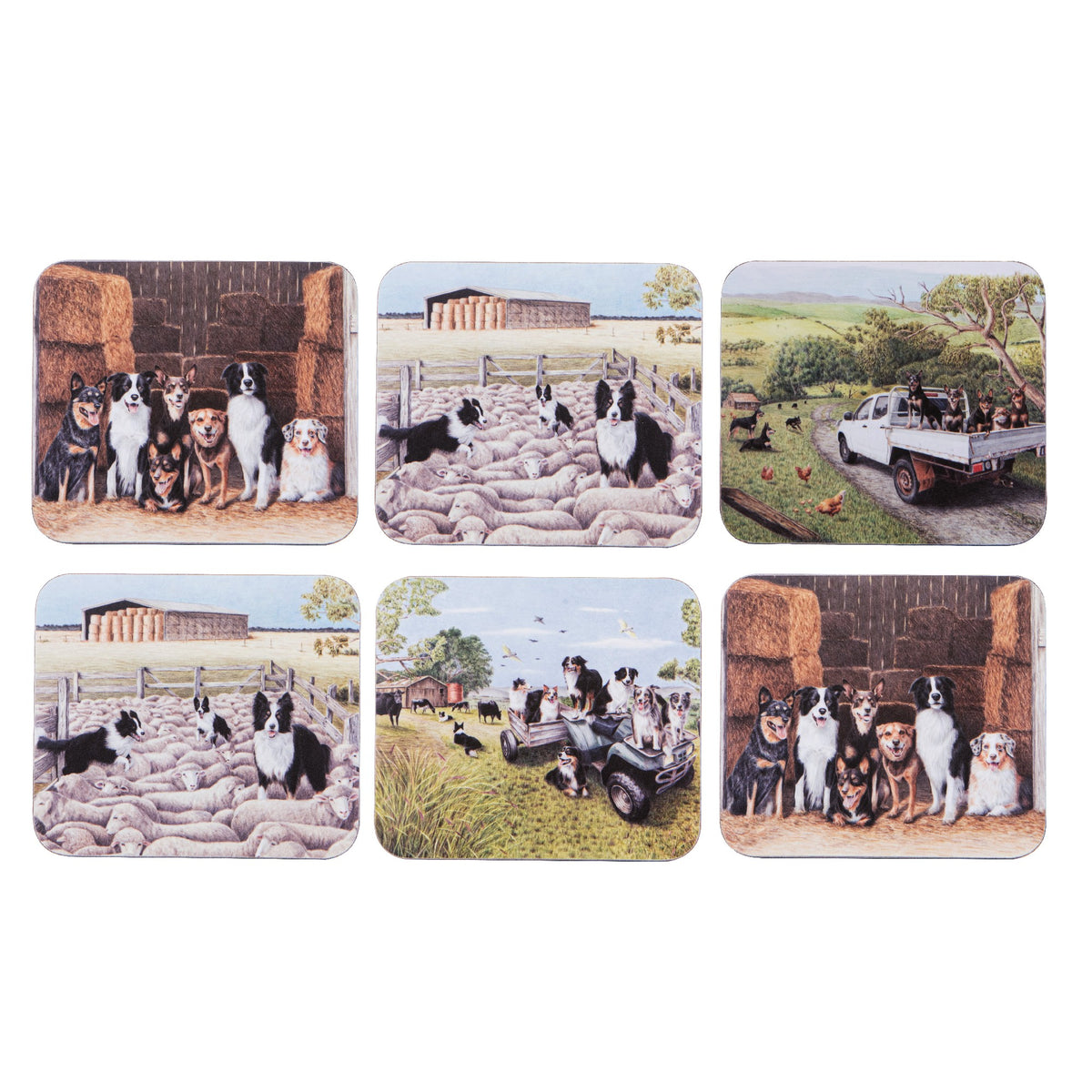 Working Dogs 6pk Coaster