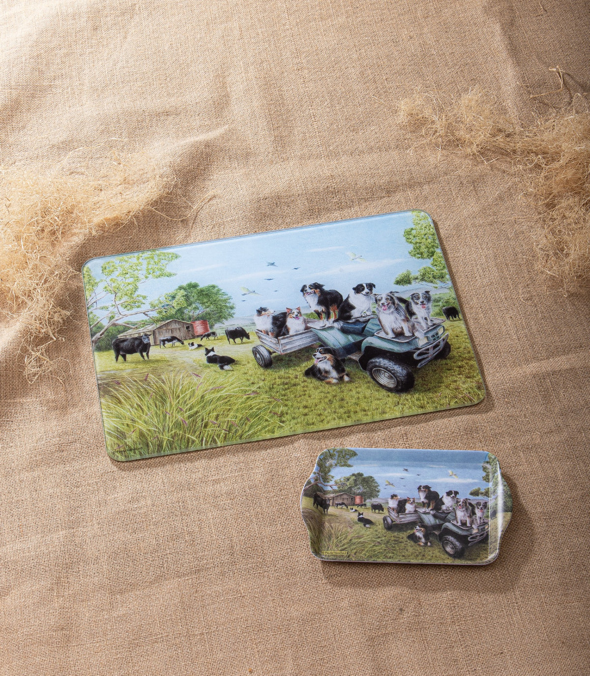 Working Dogs Quad Bike Surface Protector