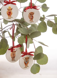 Coo Christmas 4pk Hanging Decorations