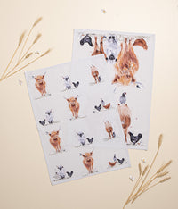 Paddock Pals 2pk Teatowels 