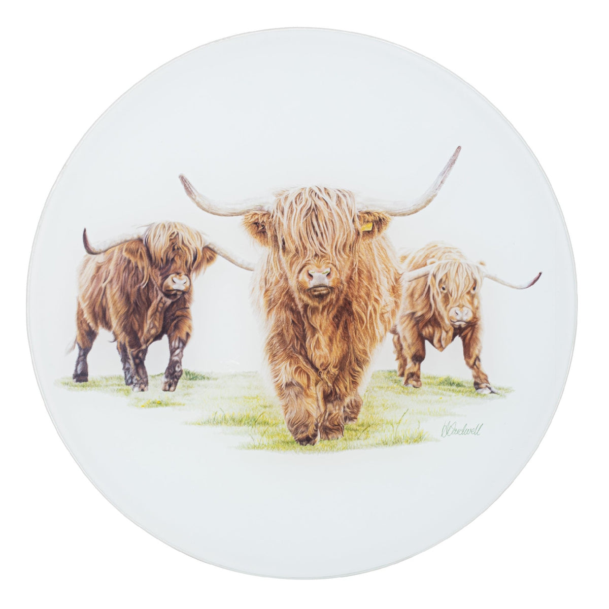 SURFACE SAVER ROUND HIGHLAND HERD 