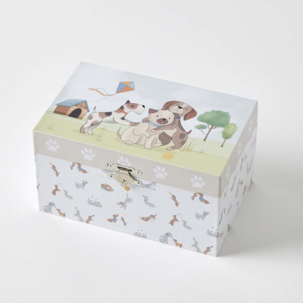 Jewellery Box Puppy Play 