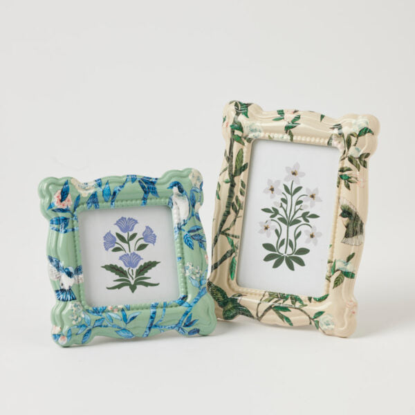 Frame Songbird 4x4