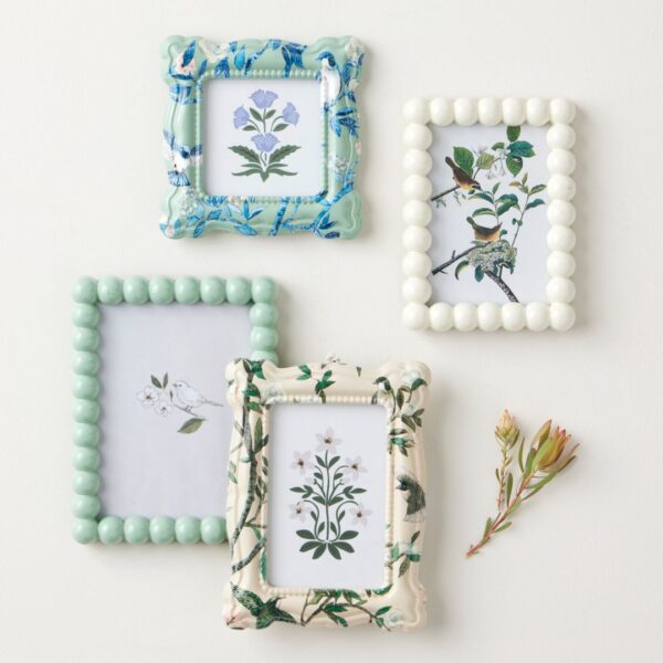 Frame Songbird 4x4