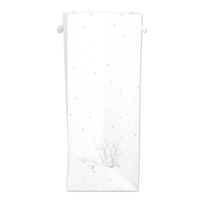 Peter Rabbit Beatrix Potter Gift Bag