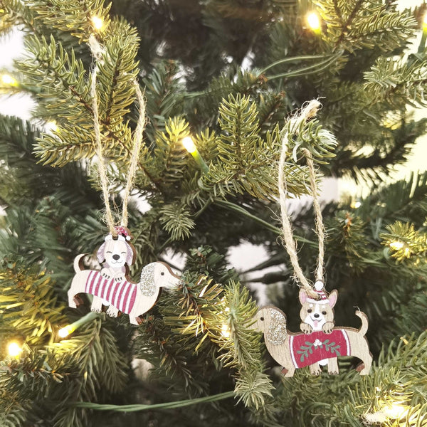 Decoration Dash Dog Gift Box Hanging 6cm Set Of 8