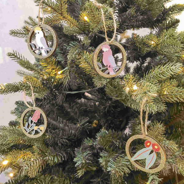 Decoration Oz Birds Assorted Gift Box 6cm Set Of 8
