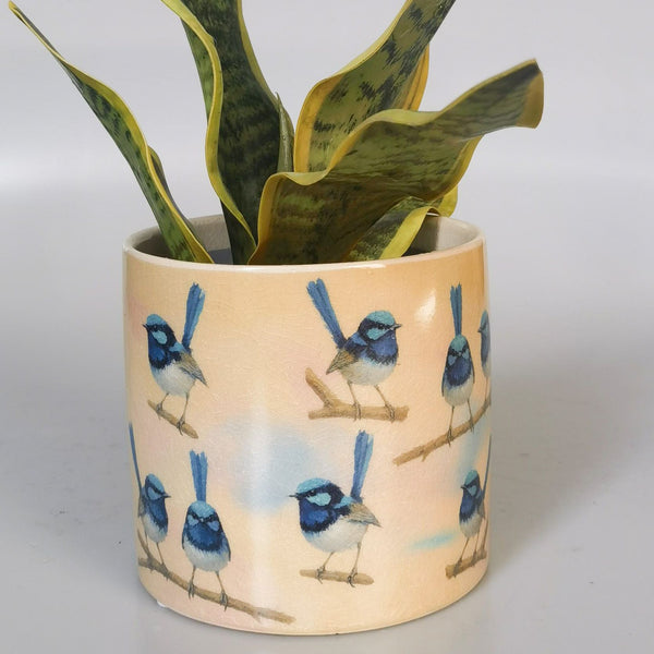 Blue Wren Planter - Blue & Yellow 14cm