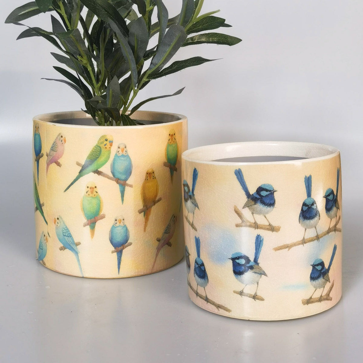 Budgie Planter - Yellow & Blue 