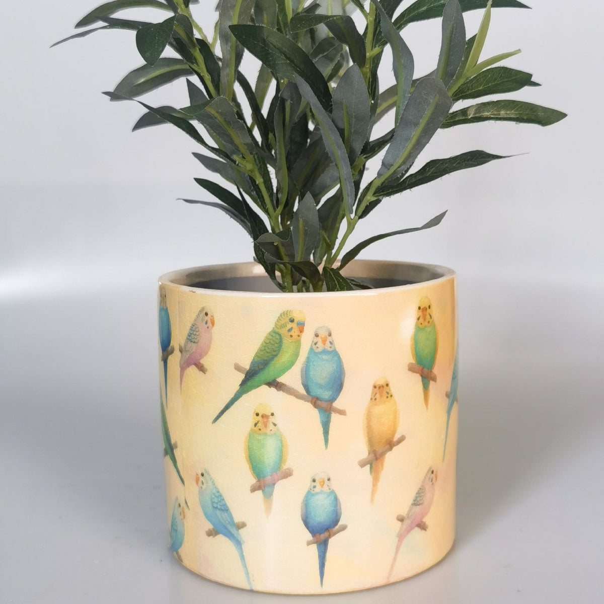 Budgie Planter - Yellow & Blue 
