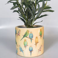 Budgie Planter - Yellow & Blue 