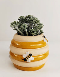 Planter Bee Hive Honeycomb & Sand Small 8cm 
