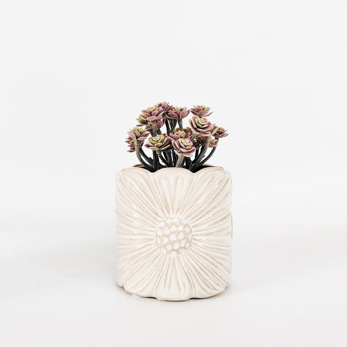 Planter Daisy White 11cm 