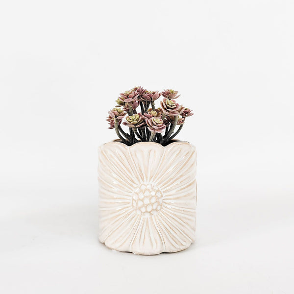 Planter Daisy White 11cm 