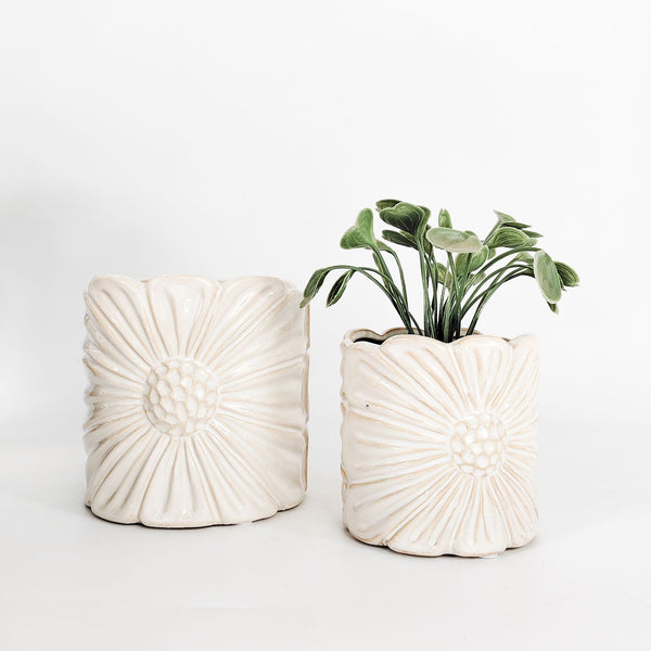 Planter Daisy White 14cm 
