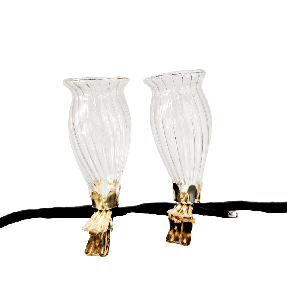 Vase Clip On S/2 Clear 