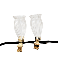 Vase Clip On S/2 Clear 