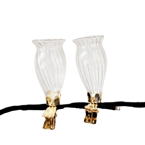 Vase Clip On S/2 Clear 