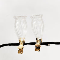Vase Clip On S/2 Clear 