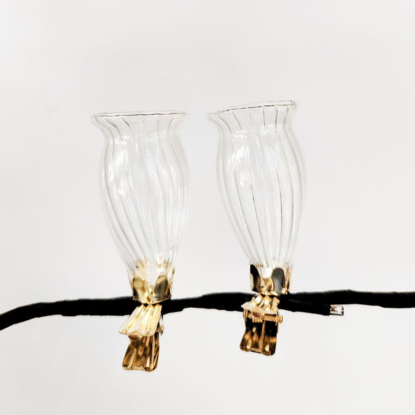 Vase Clip On S/2 Clear 