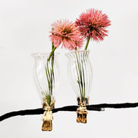Vase Clip On S/2 Clear 