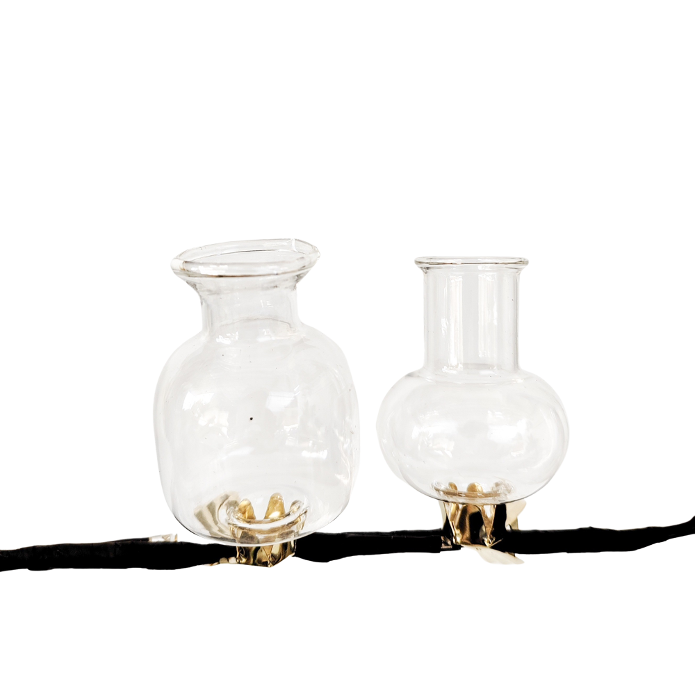 Vase Clip On Set/2 Test Tube Clear 