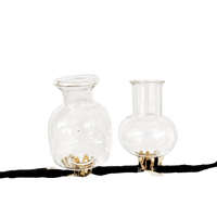 Vase Clip On Set/2 Test Tube Clear 