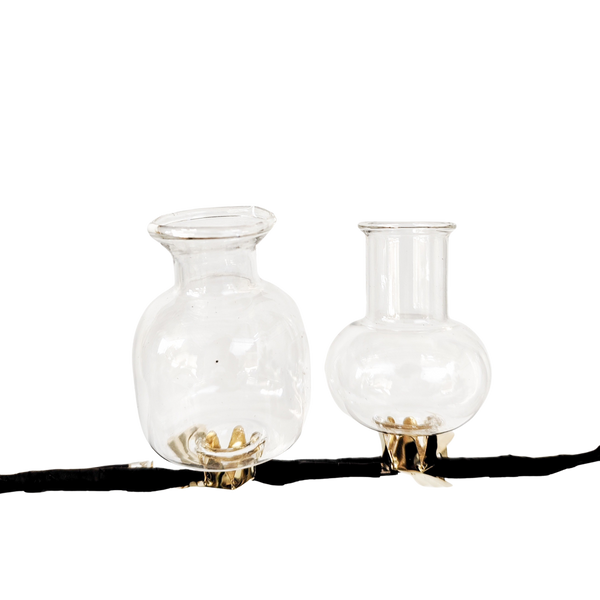 Vase Clip On Set/2 Test Tube Clear 